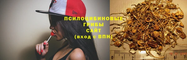 твердый Абдулино