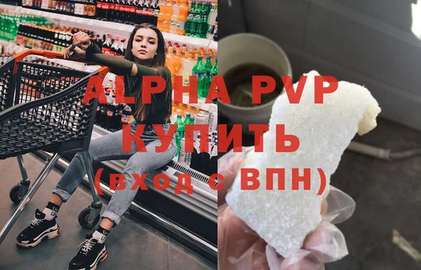 стаф Абаза