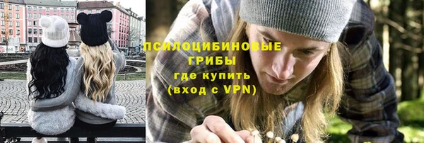 эйфоретик Алексеевка