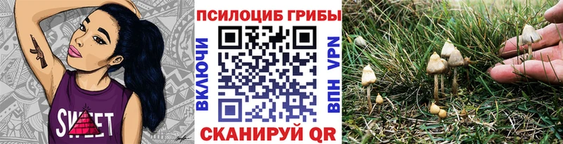 купить закладку  Ленинградская  Галлюциногенные грибы Magic Shrooms 