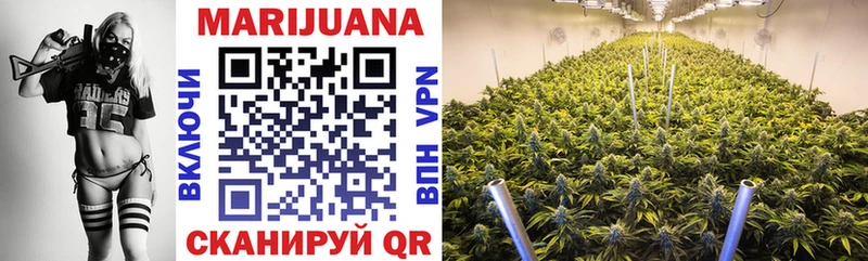 omg как зайти  купить  цена  Ленинградская  Конопля SATIVA & INDICA 